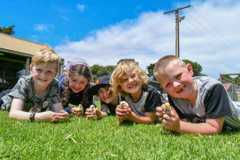 Narnu  Farm (Farm Stay/ School Camp) - South Australia Travel 7