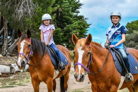 Narnu  Farm (Farm Stay/ School Camp) - South Australia Travel 9