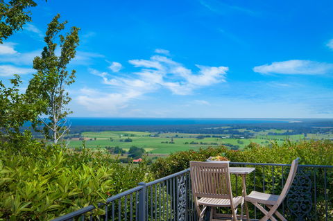 Ocean Willow - South Australia Travel 1