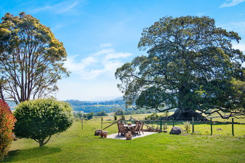 Ocean Willow - South Australia Travel 8