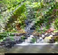 O'Reilly's Rainforest Retreat - South Australia Travel