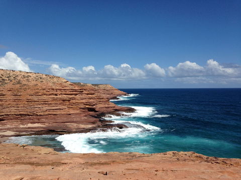 Pelican's Nest - South Australia Travel 2