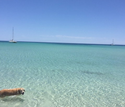 WA HomeStay - South Australia Travel 3