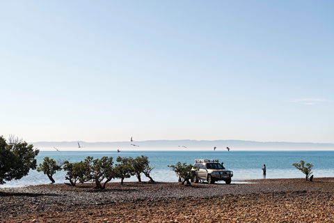 Camping At Point Lowly & Fitzgerald Bay - South Australia Travel 0