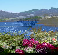 Donalea Bed  Breakfast Tasmania - South Australia Travel