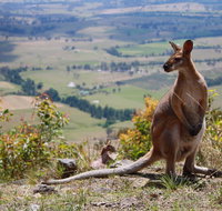 Eaglereach Wilderness Resort - South Australia Travel