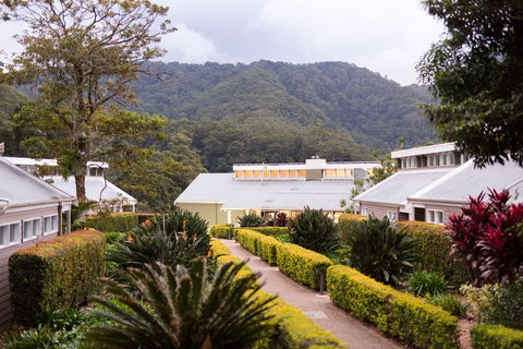 Eden Health Retreat - South Australia Travel 0