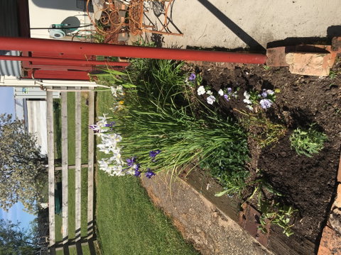 Fairview Bed And Breakfast Cottage - South Australia Travel 2