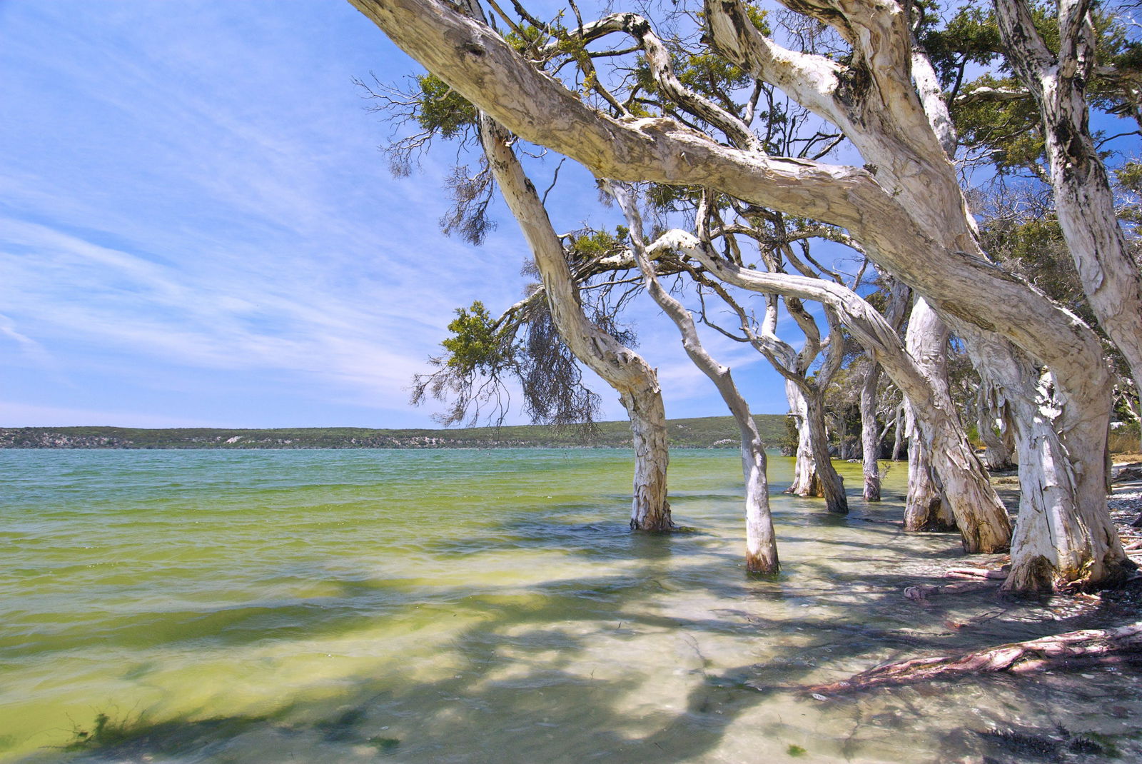 Coomalbidgup WA South Australia Travel