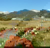 Farringdon Homestead - South Australia Travel