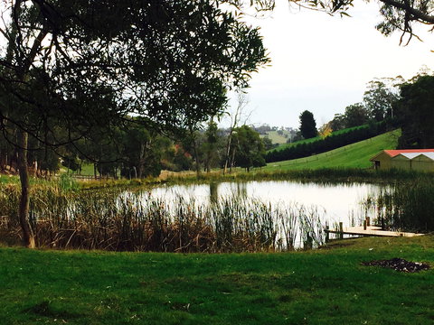 Gracefield Estate - South Australia Travel 0