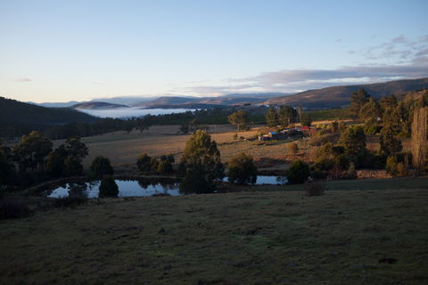 Hamlet Downs Country Accommodation - South Australia Travel 0