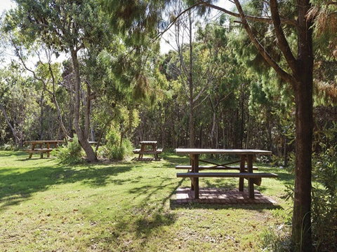 Illaroo Group Camping Area - South Australia Travel 0