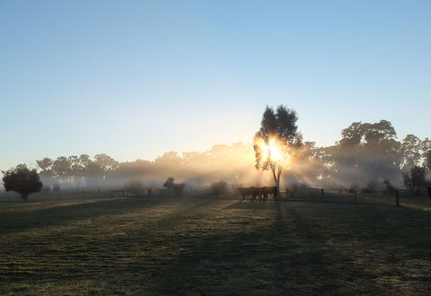 Mackereth's Hedon Farm - South Australia Travel 1