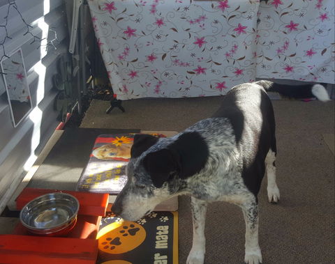 Meeniyan Motel And Bike Hire - South Australia Travel 2