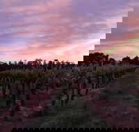 Milawa Vineyard Views - South Australia Travel