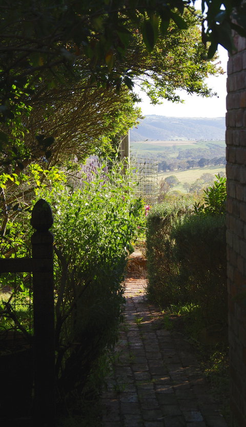 Pear Tree Hollow - South Australia Travel 7