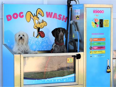 Prime Pet Friendly Tourist Park - South Australia Travel 6