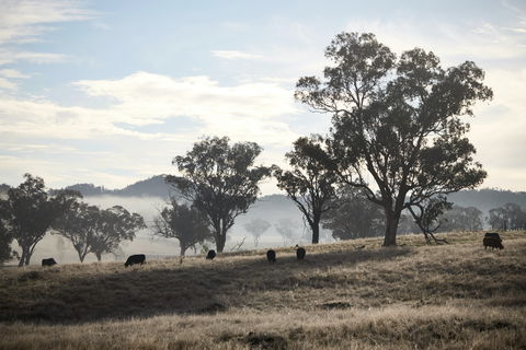 Rosby Guesthouse And Studio - South Australia Travel 4