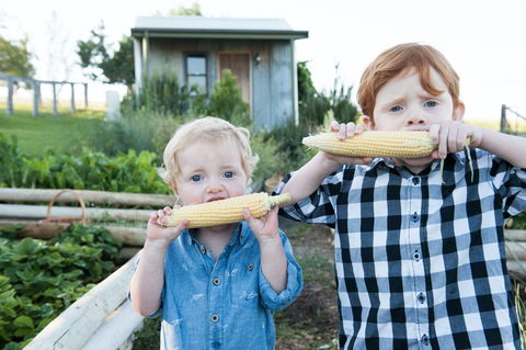 Rosby Guesthouse And Studio - South Australia Travel 8