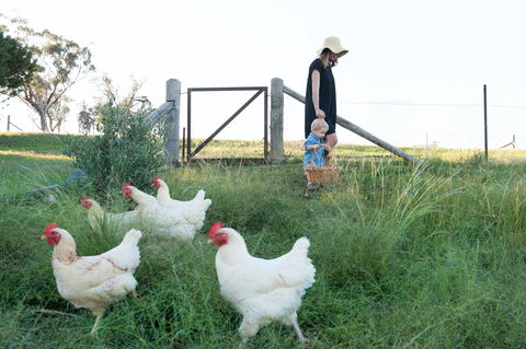 Rosby Guesthouse And Studio - South Australia Travel 9
