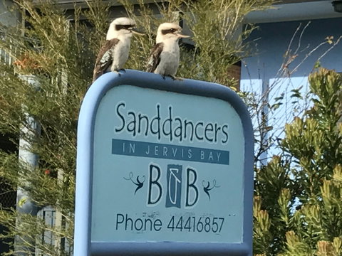 Sanddancers Bed And Breakfast In Jervis Bay - South Australia Travel 1