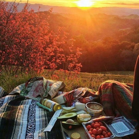 Valle Laguna - South Australia Travel 5