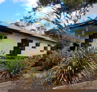 Adonis Dream - South Australia Travel