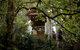 Arcadia Cottages - thumb 1