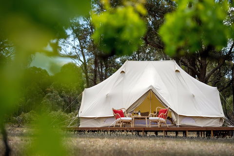 Balgownie Estate Winery Glamping & Accommodation - South Australia Travel 0