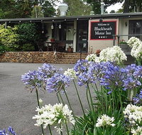 Blackheath Motor Inn - South Australia Travel
