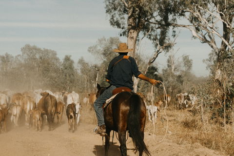 Bullo River Station - South Australia Travel 0
