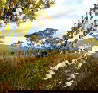Buttongrass Retreat - South Australia Travel