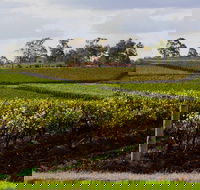 Estate Tuscany - South Australia Travel
