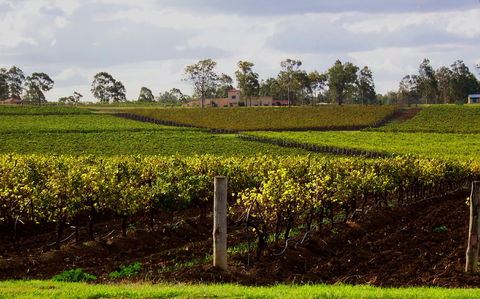 Estate Tuscany - South Australia Travel 0