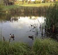 Harewood House Bed and Breakfast - South Australia Travel