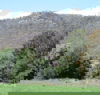 Jessica's Guest House and Vineyard - South Australia Travel