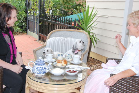 Must Love Dogs B&B And Self-Contained Cottage - South Australia Travel 2