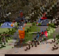 Ngarigo campground - South Australia Travel