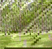 Nymboida River campground - South Australia Travel