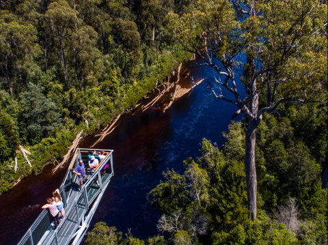 Tahune Adventures Tasmania - Lodge And Cabin - South Australia Travel 1
