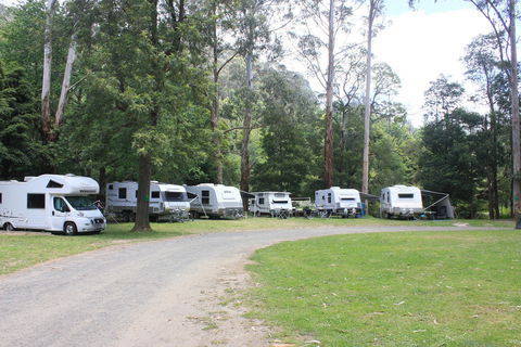 Tarra Valley Caravan Park - South Australia Travel 2