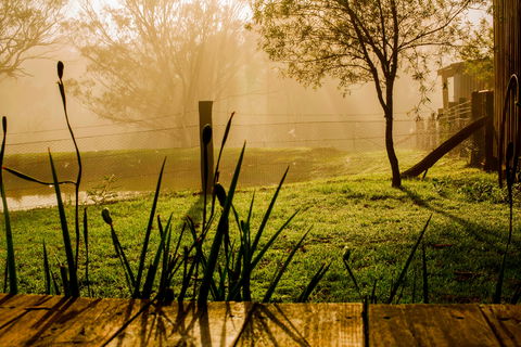 Tobruk Sydney Farm Stay - South Australia Travel 1