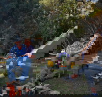 Zeehan Bush Camp - South Australia Travel