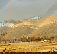 Annabilla Farm Stay - South Australia Travel