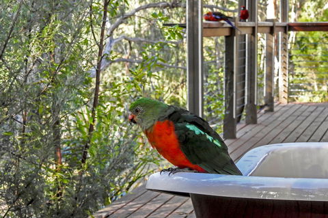 Araluen Park Cottages - South Australia Travel 2