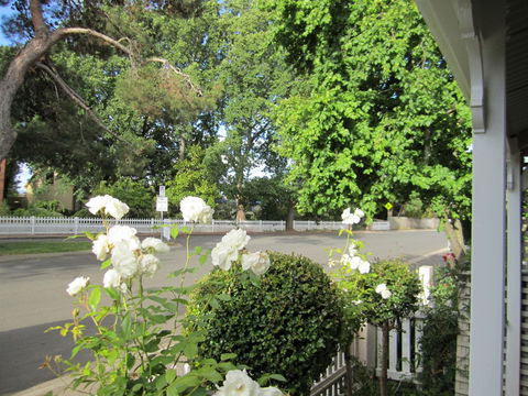 Arendon Cottage - South Australia Travel 1