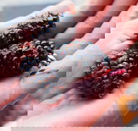 Baileys Lane - South Australia Travel