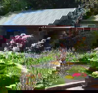 Barefoot Springs B and B - South Australia Travel