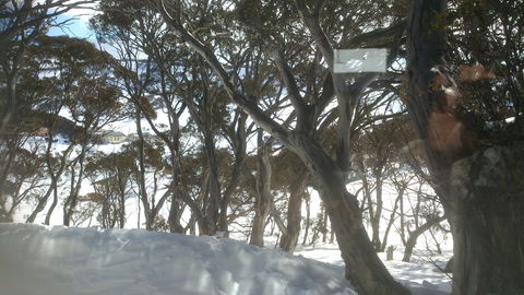Barina Milpara Lodge - South Australia Travel 1